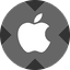 Apple xStock