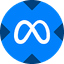 Meta xStock