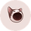 Popcat