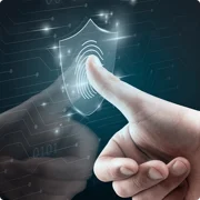 Cardano Privacidade